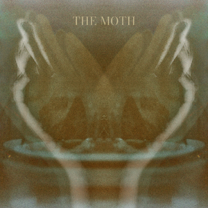 The Moth