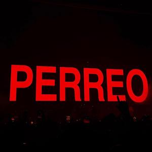 Perreo