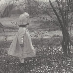 Wisdom (Demo Version)