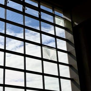 相遇中的纯粹之光