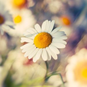 时光拾贝之忆吗