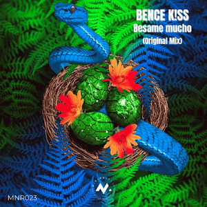 Besame Mucho (Original Mix)