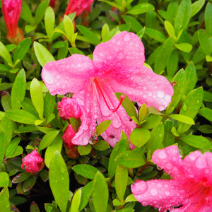 君を抱きしめたい