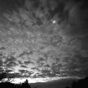 Досі тут (інструментал)