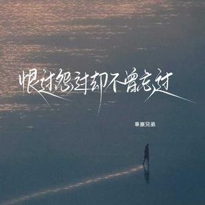 恨过怨过却不曾忘过