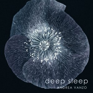Deep Sleep