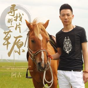 月亮之上（Cover 凤凰传奇）