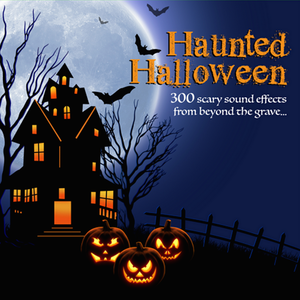 Small Sarcophagus Lid Sliding