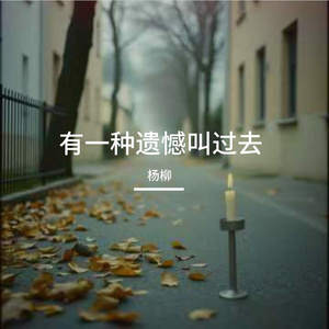 有一种遗憾叫过去