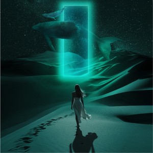 There she goes (Remix)