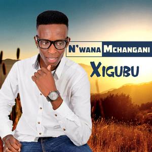 Xigubu (Remix)