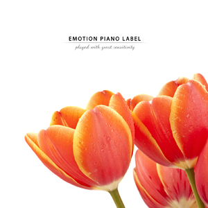 닿을 수 없는 Inaccessible