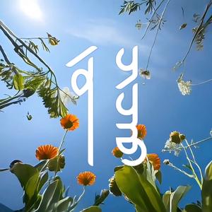 Zun chichuu (Prod. by DAVANiM)