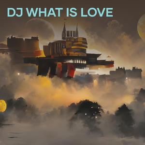 Dj What Is Love