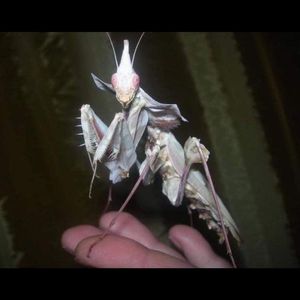 [FREE] ‘maybe’ New Jazz Type Beat