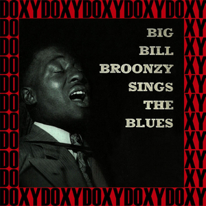 You've Been Mistreating Me (Recorded in Chicago, 1949 Sessions)