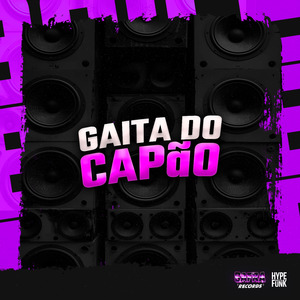 GAITA DO CAPÃO