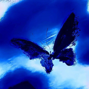 Unplanned Frame （意外的镜头）