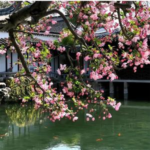 你是我最好的朋友