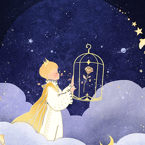 乘风再与星光共舞