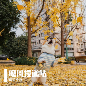 那年稚气未脱的脸颊