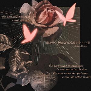 調查中x僞善者x心犯xWomxnly