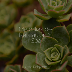 Rocas Mojadas