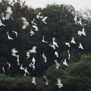 青春要用几行诗来写