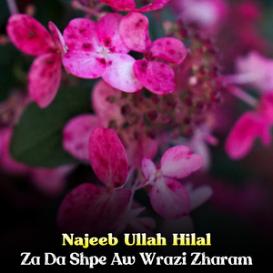 Zra Ke Melmana Me Sta Yadona De