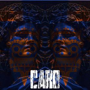 Yellow Claw/KEVU-Do You Like Bass? & Push It Down(CARO Mashup)（DW Remix）