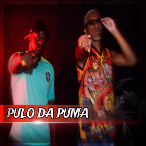 Pulo da Puma