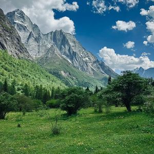 《Synthwave Eg Trends》015