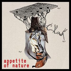 Honey Jar (feat. Yuma Uesaka & Andres Abenante)