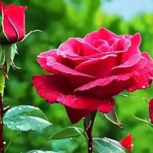 格式转换-导入-视频提取音频-你让我感动1767341140467.mp3