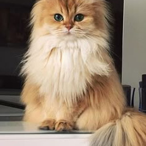 Ladies Room (slowed)