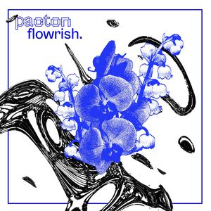 Vir (feat. Vince Fassbender)