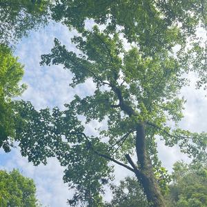 她的眼睛会下雨
