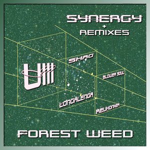 Synergy (Blower Soul Remix)