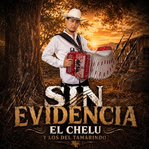 SIN EVIDENCIA (EN VIVO)