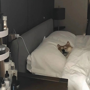 阿拉斯加的海湾