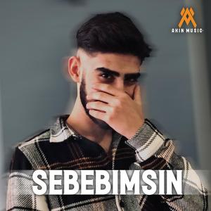 Sebebimsin
