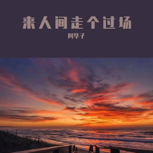 来人间走个过场