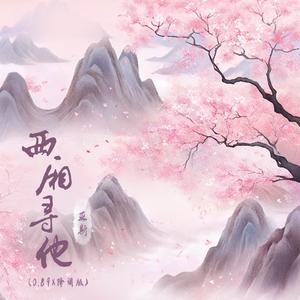 西厢寻他(0.89X降调版)