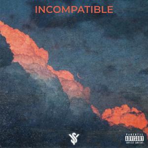 Incompatible (feat. Shak Stzy)