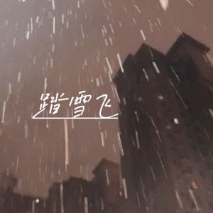踏雪飞