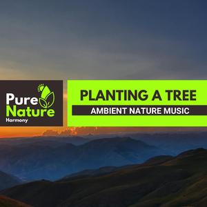 Downpour and Thunder