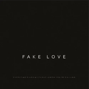 Fake Love