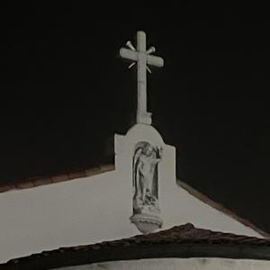 My Lungs Have Filled With Roots, My Bones Bound By Soil