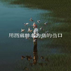用酒麻醉名为痛的伤口