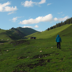 想起了远方的家